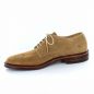 Preview: Alden 29332 Blucher