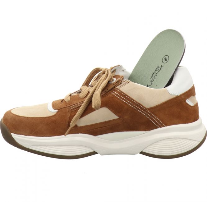 Xsensible 32500.2 Men Cognac