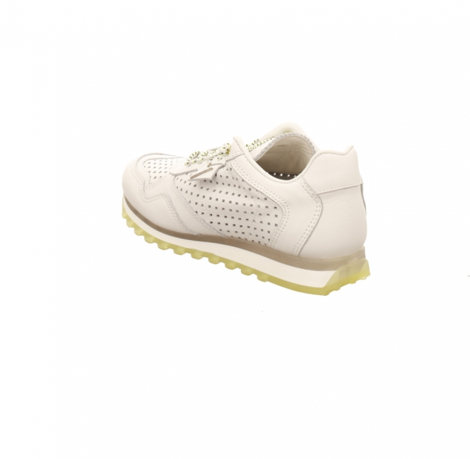 Cetti C848 Sra white neon