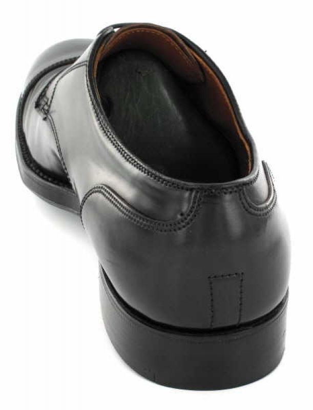 Alden 2161 Captoe Blucher black