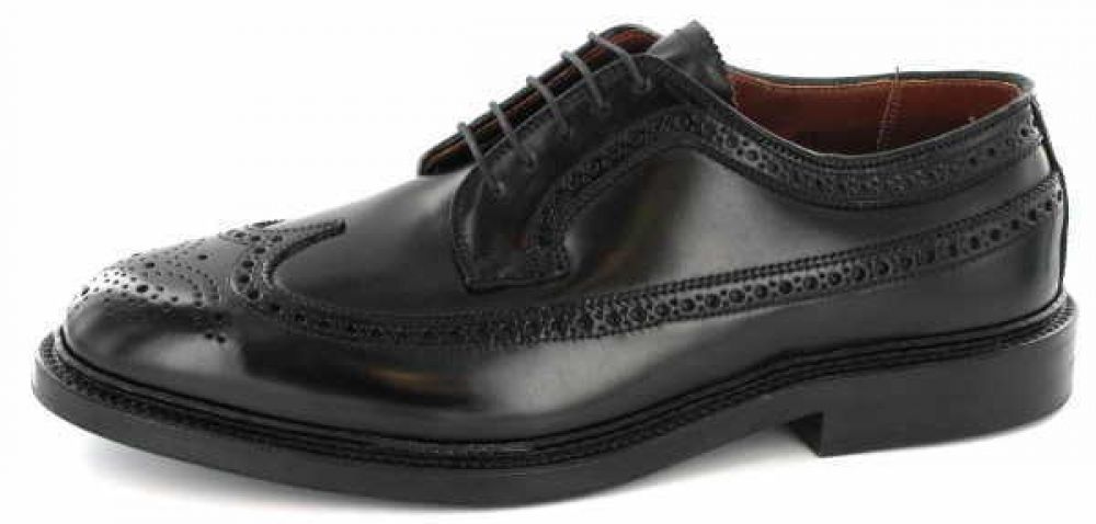 Alden 9751 Long Wing Blucher