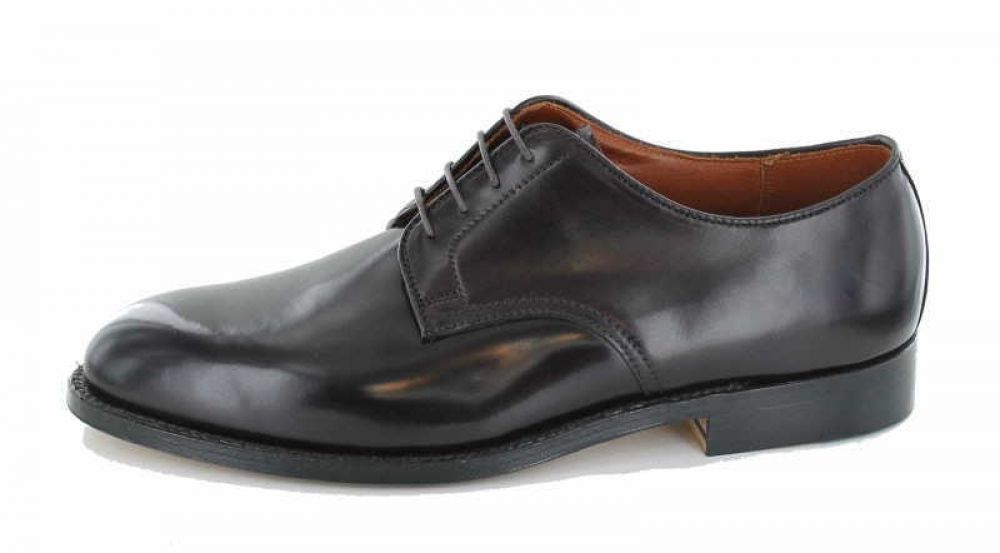 Alden 8248 Blucher