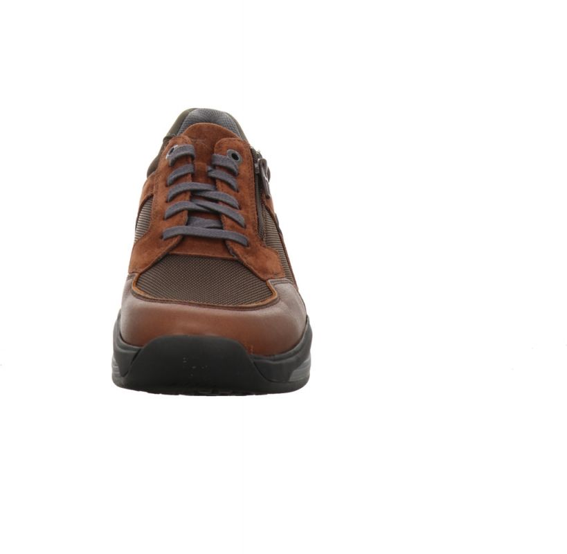 Xsensible 30088.1 SWX14 Men cognac